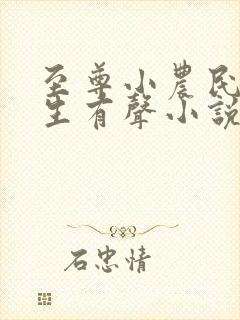 至尊小农民王木生有声小说
