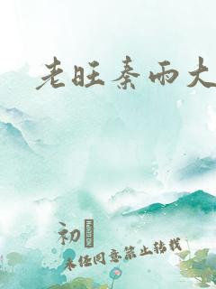 老旺秦雨大结局