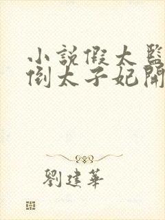 小说假太监从推倒太子妃开始电子书