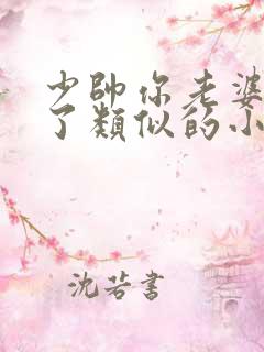 少帅你老婆又跑了类似的小说