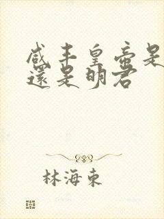 咸丰皇帝是昏君还是明君