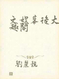 文娱幕后大佬笔趣阁