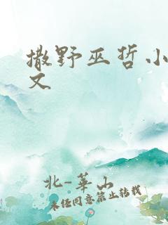 撒野巫哲小说全文