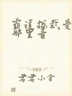 霸道总裁爱上我哪里看