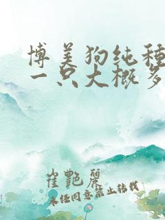 博美狗纯种幼犬一只大概多少钱 博美狗纯种幼犬一只大概多少钱