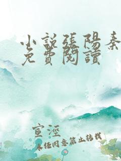 小说张阳秦婉清免费阅读