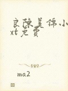 良陈美锦小说txt免费 良陈美锦小说txt免费
