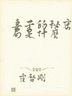 妻子的秘密大结局是什么