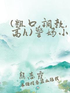 (粗口,调教,高h)警妈小说