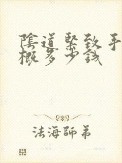 阴道紧致手术大概多少钱