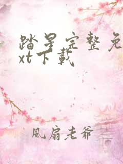 踏星完整免费txt下载