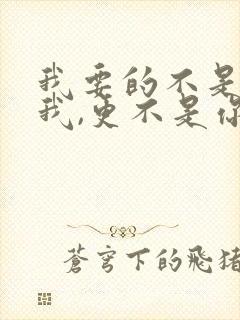 我要的不是你爱我,更不是你恨我是什么歌