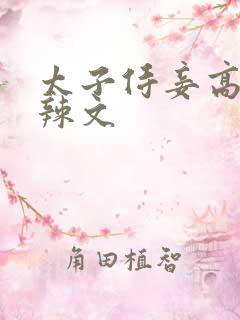 太子侍妾高h肉辣文