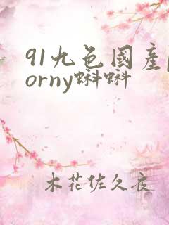 91九色国产porny蝌蚪