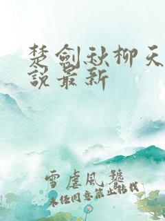 楚剑秋柳天瑶小说最新