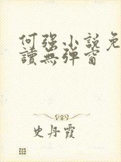何强小说免费阅读无弹窗