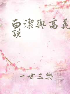 白洁与高义的小说