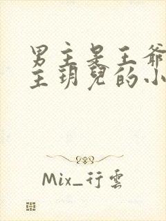 男主是王爷叫女主玥儿的小说