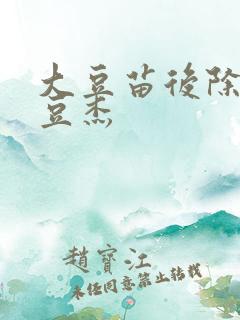 大豆苗后除草剂豆杰