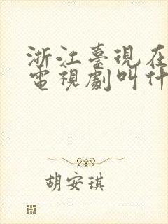 浙江台现在演的电视剧叫什么名