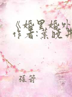 《婚里婚外》 作者:叶晓井
