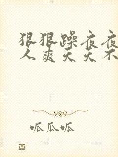 狠狠躁夜夜躁人人爽天天不