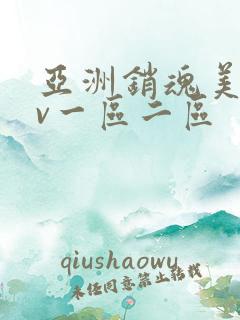 亚洲销魂美女av一区二区