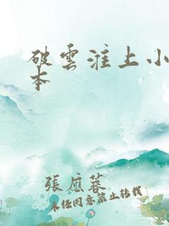 破云淮上小说完本