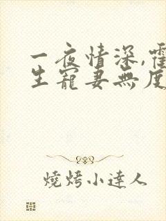 一夜情深,霍先生宠妻无度
