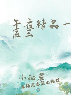 午夜精品一区二区三