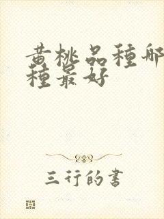 黄桃品种哪个品种最好