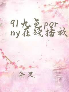 91九色porny在线播放