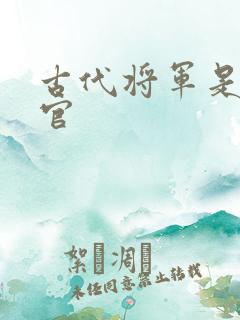 古代将军是几品官