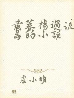 黄蓉杨过流落荒岛的小说