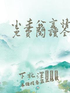 小老公言情小说免费阅读全文
