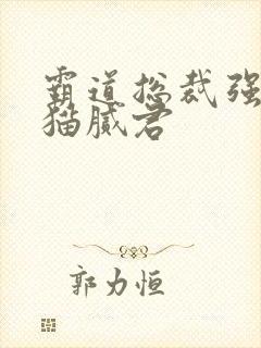 霸道总裁强制爱猫腻君