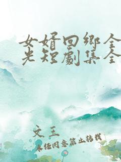 女婿回乡全村风光短剧集全 女婿回乡全村风光短剧集全