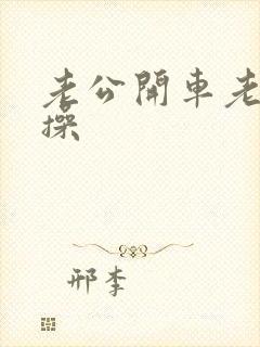 老公开车老婆挨操