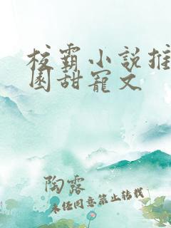 校霸小说推荐校园甜宠文