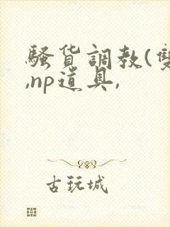 骚货调教(双性,np道具,