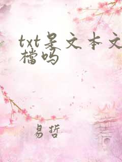 txt是文本文档吗
