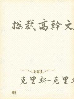 总裁高干文h