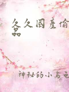 久久国产偷拍精品