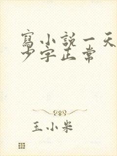 写小说一天写多少字正常
