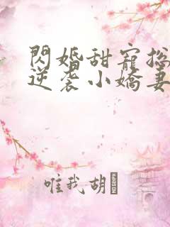 闪婚甜宠总裁的逆袭小娇妻