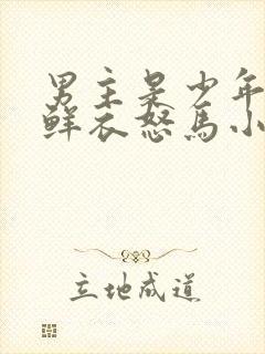 男主是少年将军鲜衣怒马小说