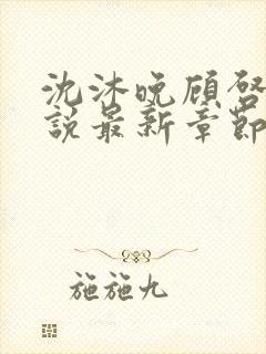 沈沐晚顾启珩小说最新章节免费阅读