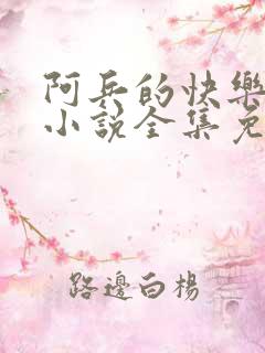 阿兵的快乐生活小说全集免费阅读