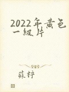 2022年黄色一级片