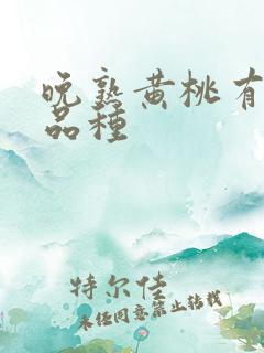 晚熟黄桃有哪些品种